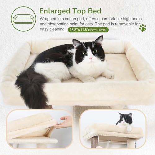 Cat Tree Tower with Scratching Post for Indoor Cats (Beige / L)
