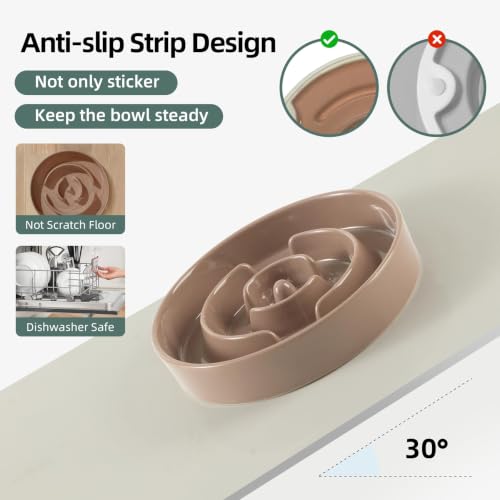 Elevated Slow Feeder Dog Bowls (Brown Coffee)
