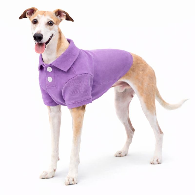 Basic Dog Polo Shirts Premium Cotton (XXXL (-75lbs) / Violet)