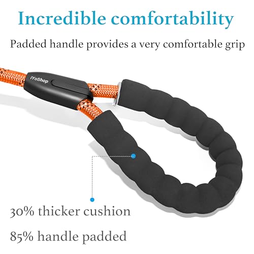 Double Dog Leash (Orange / Large)