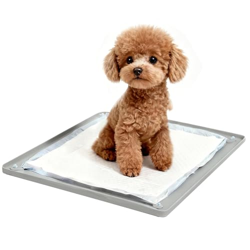 Dog Pee Pad Holder (Grey / 24x24in)