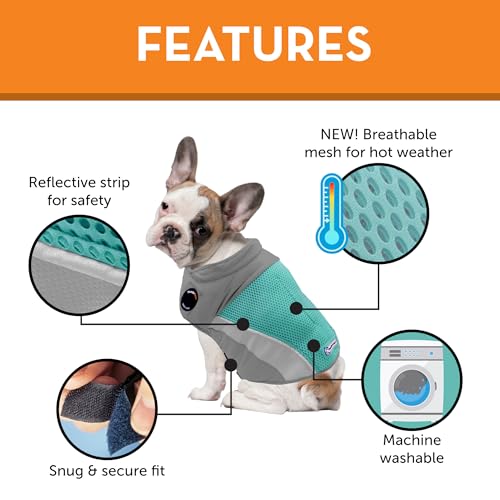 Breeze for Dogs Calming Anxiety Vest (Aqua / Large)