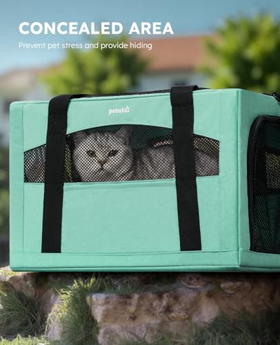 Cat Carrier Stable (Light Green / 16.9"L x 11.0"W x 11.0"H)