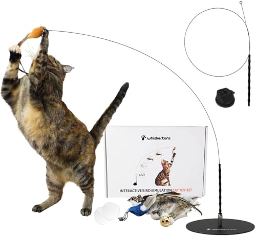 Interactive Bird Simulation Cat Toy Set (Standard Hybrid Bundle)