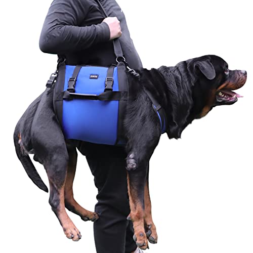 Dog Carry Sling (Blue / XXL)