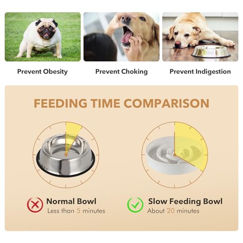 Raised Slow Feeder Dog Bowls (2 x White + Stand - A / XL- 9.5inch / 3.2 Cups)
