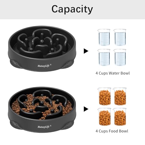 1 Pack Slow Feeder Dog Bowls (H-Black / Large)