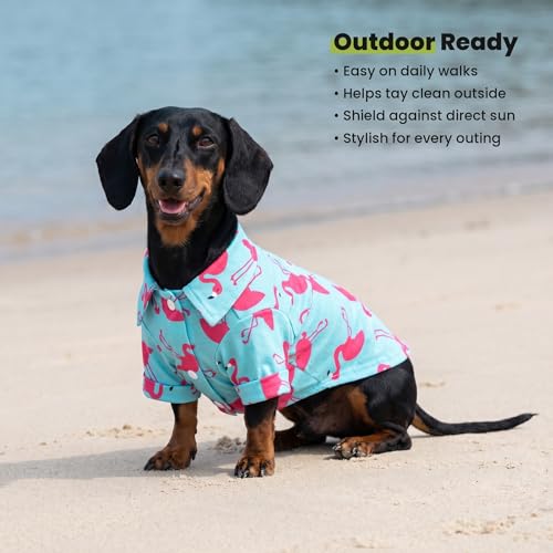Flamingo Hawaiian Dog Shirt (X-Large / Flamingo)