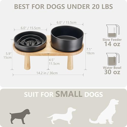 Ceramic Slow Feeder and Water Bowl Set for Small Dogs (Black / 6" D)