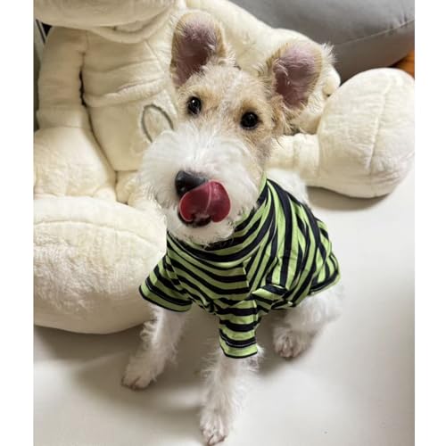 Turtleneck Dog Shirt Cute Doggie Embroidery Super Soft Dog Sweatshirt Stretchy Striped Puppy Pullover for Cats Small Medium Large Dogs (Green Striped / X-Large)