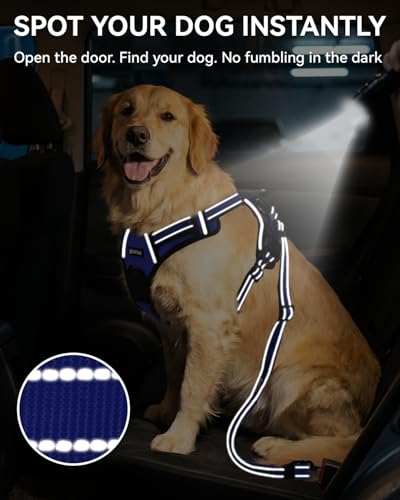 3-in-1 Bungee Dog Seat Belt for Car, Medium Large Dogs, Navy Blue (Navy Blue / (21.6-31.5) inch)