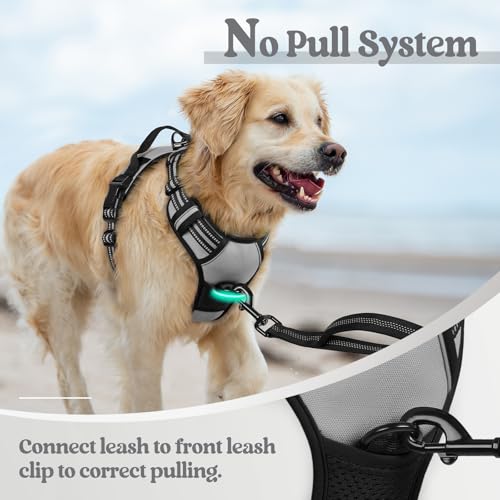 Dog Harness No Pull for Small Dogs with 2 Leash Clips (Small / Gray)