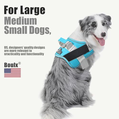 Dog Harness No (Large (Pack of 1) / OceanicBlue)