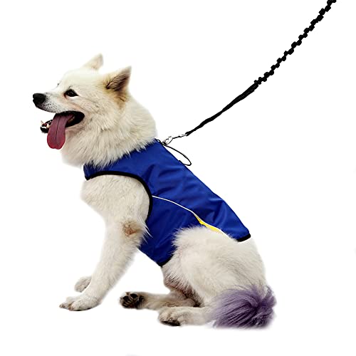 Dog Anxiety Jacket (Blue / XL (Pack of 1))