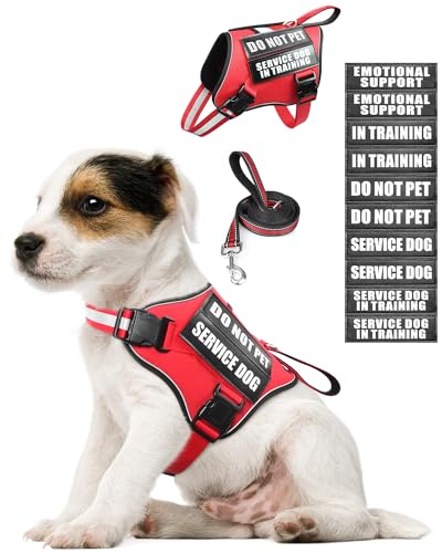 Service Dog Vest Harness and Leash Set+10 Patches Red XS (Extra-Small / Red)
