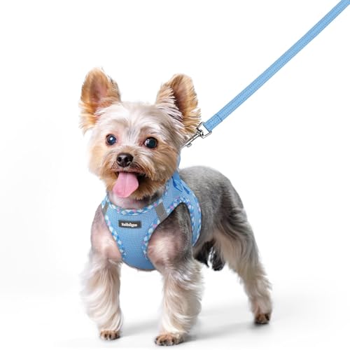 Dog Harness Small Sized and Leash Set (Blue & Plaid Trim / Xs (chest: 13.3 - 15.5"))