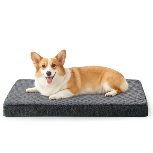 Orthopedic Medium Dog Bed (M(29"x18") / Grey)