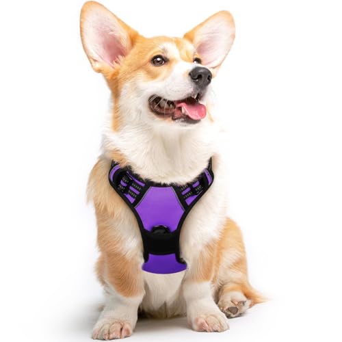 Dog Harness for Medium Sized Dogs (Medium / Purple)
