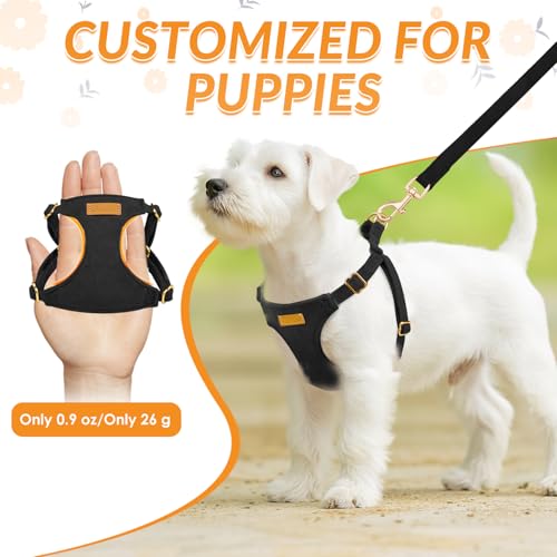 No Pull Dog Harness with Leash for Small Medium Dogs (Small(11-17.5lb) / Solid Black)