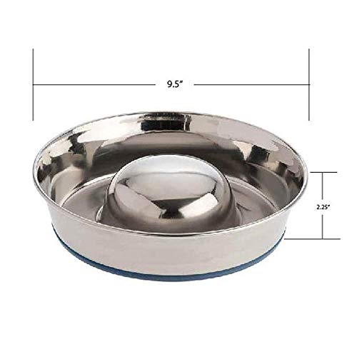 OurPets DuraPet Slow Feed Premium Stainless Steel Bowl (Medium (4.5 Cups))