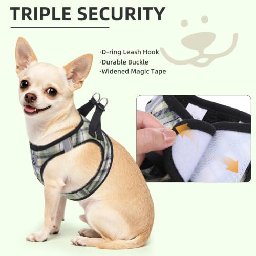 Dog Harness Collar and Leash Set No Pull for Small Medium Sized (Yellow Green / L (CHEST 18"-20"))