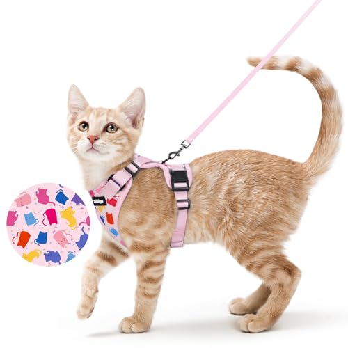 Cat Harness and Leash Set (Xs / Purrty Pink)