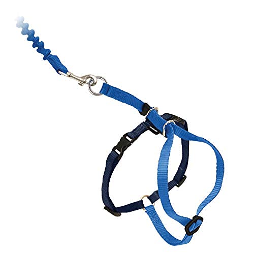 Come with Me Kitty Harness and Bungee Cat Leash (Large (Pack of 1) / Royal Blue)