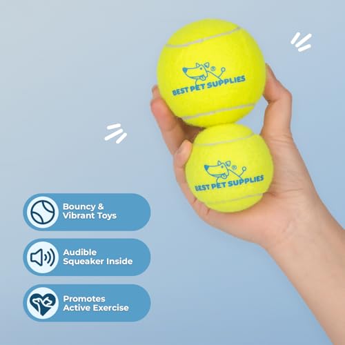 Interactive Squeaky Dog Chew Toy (Tennis (Yellow) / Large)