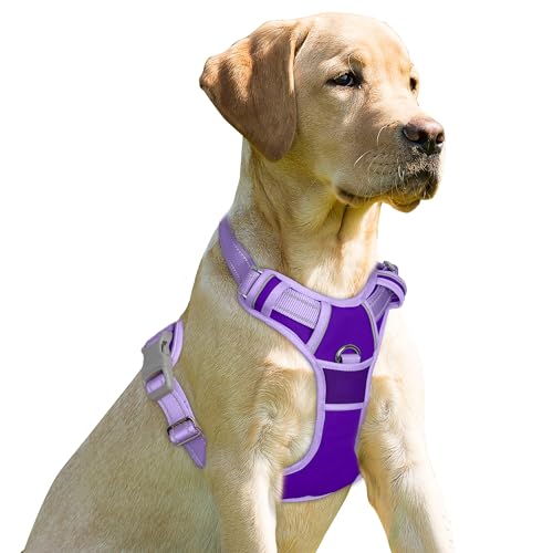 Dog Harness No Pull for Large Dogs Front Back Clips (Large(Chest:24.5-32.5") / Violet Purple & Purple)