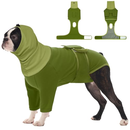 Dog Recovery Suit Female (Medium / New Version- Green)