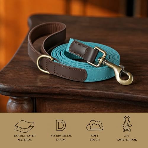 PU Leather Dog Leash for Medium Dogs (Light Blue / 3/4''x 5FT)