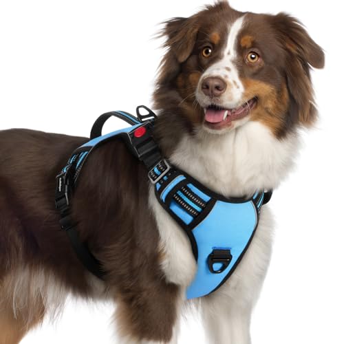 Large Dog Harness (X-Large / Light Blue)