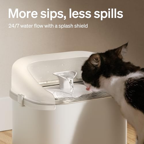 Splash Shield for 3L Dockstream 2 Cat Water Fountain (White / Splash Shield)