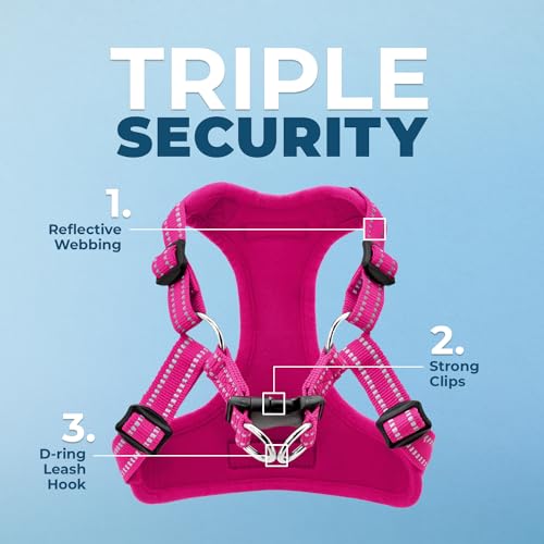 Voyager Step in Flex Adjustable Dog Harness (Harness (Fuchsia) / L)