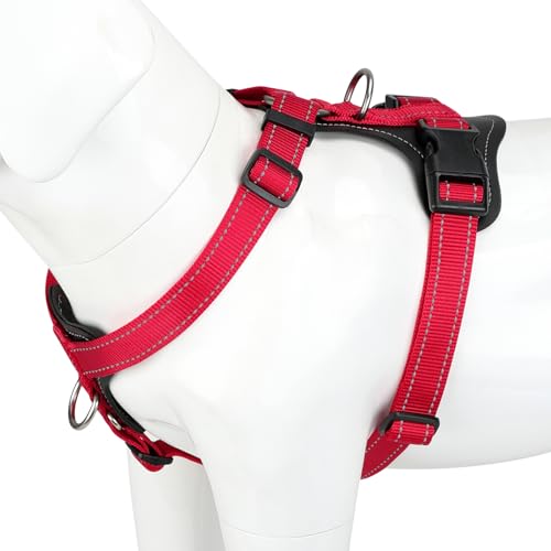 No Pull Dog Harness with Leather Accents (M / Red)