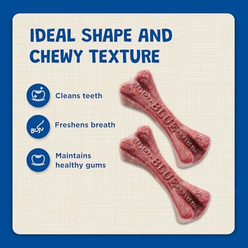 Mini Dental Bones (1.69 Pound (Pack of 1))