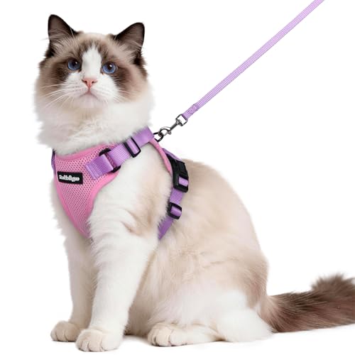 Cat Harness and Leash Set (M / Pink & Light Purple)