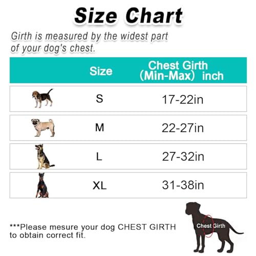 Dog Harness for Large Dog No Pull 2 Clips 3 Buckles Dog Vest (X-Large / New Black)