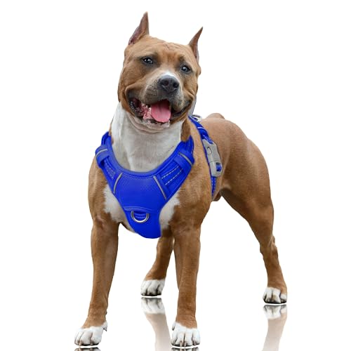 Dog Harness for Large Dogs No Pull Dog Vest ID Tag Pocket (Sapphire Blue / Large)