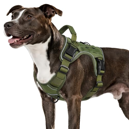 Tactical Dog Harness for Medium Size Dogs (Green / Medium: 30-50 lbs (Chest:24-28",Neck:17-19"))