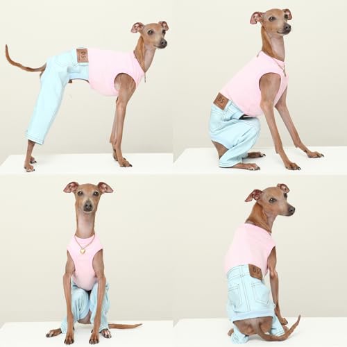 D Doggy Star Italian Greyhound Clothes Sleeveless Jeans Onesie Outfit Whippet for Dog Coat (S / Sky Blue Jean)