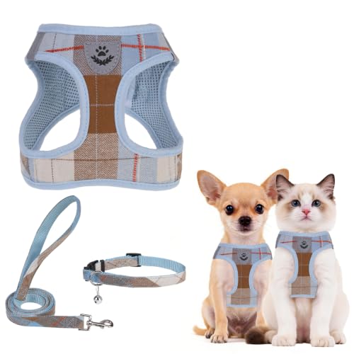 Dog Harness Collar and Leash Set No Pull for Small Medium Sized (Light Blue / XXS (CHEST 11.5"-13"))