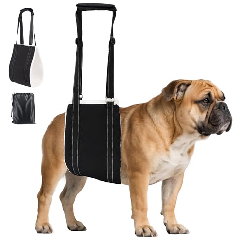 Adjustable Dog Sling Dog Lift Harness Hind Leg Support (Black / S)