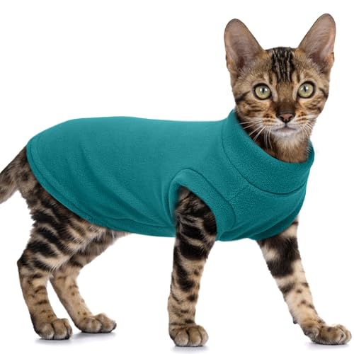 Hairless Cat Clothes (Large / Blue)