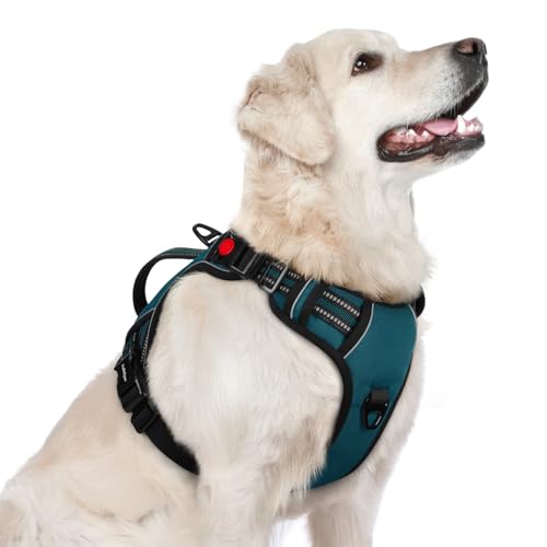 Large Dog Harness (Large / Green)