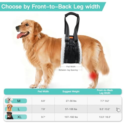 Dog Lift Harness Sling for Back Legs (Extra Large / Black)
