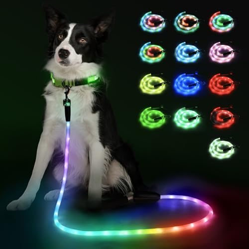 6Ft Light Up Dog Leash (6Ft)