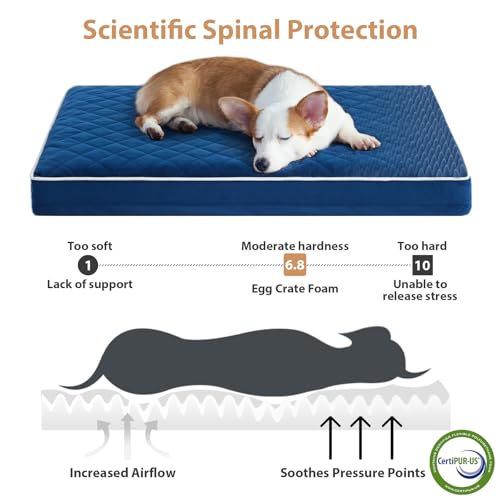 Orthopedic Waterproof Extra Large Senior Dogs Bed for Comfy Sleep (Blue / 42"L x 30"W x 4"Th)