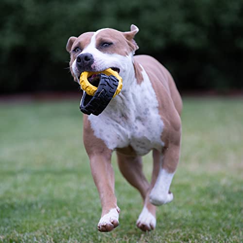 Rubber 3 Ring Tug Dog Toy (7.5 inches)
