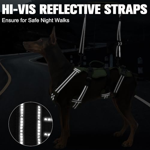 Dog Lift Harness for Large Dogs (Green / Large)